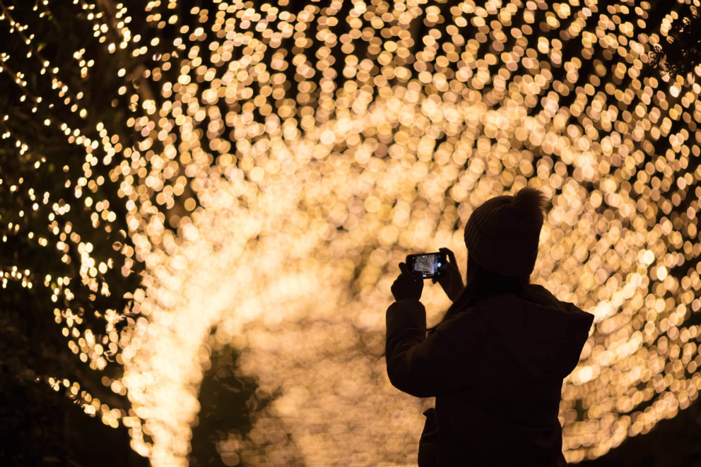 Dublin Zoo Lights Event