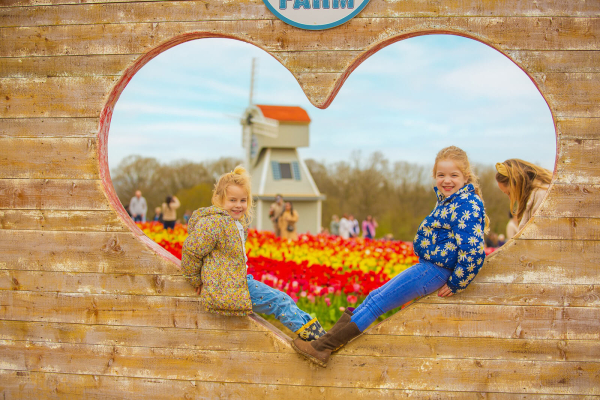 Tulleys Tulip Festival